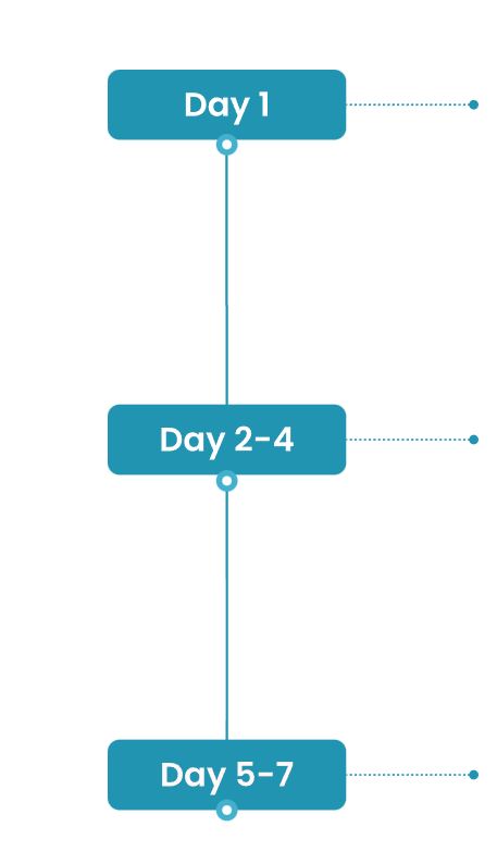 Days Infographic Image V2