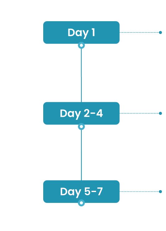 Days Infographic Image